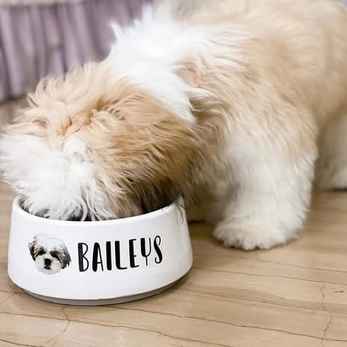 Pet Bowl Mangkok Makan Bahan Keramik untuk Anjing, Kucing, Kelinci, dan Hewan Lainnya - Dilengkapi Tatakan Kayu untuk Makan yang Praktis dan Elegan