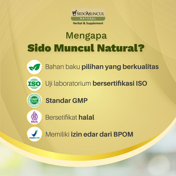 Sido Muncul Natural Ginkgo Biloba - Suplemen Herbal untuk Mendukung Kesehatan Otak, Konsentrasi, dan Daya Ingat