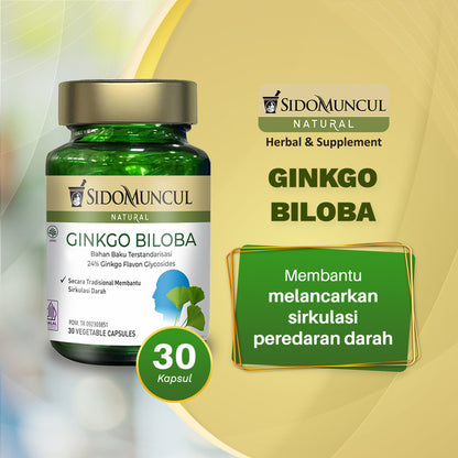 Sido Muncul Natural Ginkgo Biloba - Suplemen Herbal untuk Mendukung Kesehatan Otak, Konsentrasi, dan Daya Ingat