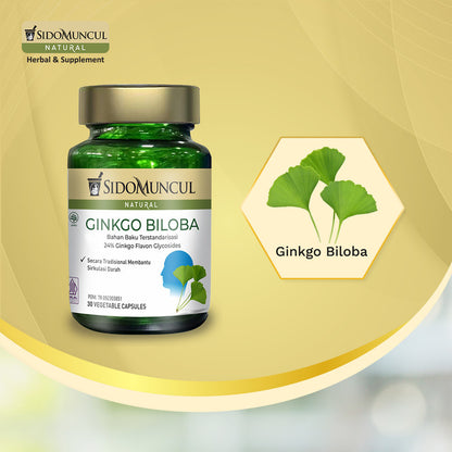 Sido Muncul Natural Ginkgo Biloba - Suplemen Herbal untuk Mendukung Kesehatan Otak, Konsentrasi, dan Daya Ingat